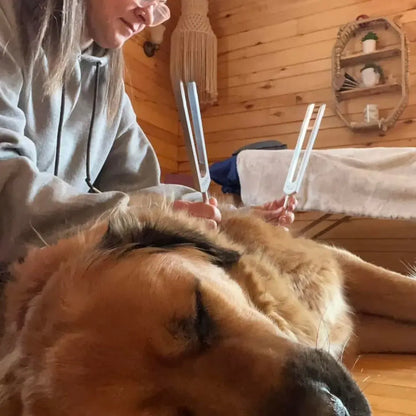 PawTune™ - Frequency Healing For Pets