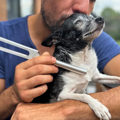 PawTune™ - Frequency Healing For Pets